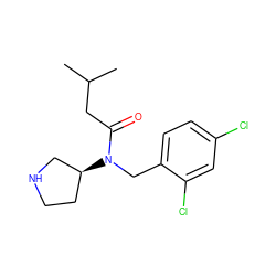 CC(C)CC(=O)N(Cc1ccc(Cl)cc1Cl)[C@H]1CCNC1 ZINC000040395200