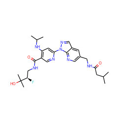 CC(C)CC(=O)NCc1cnc2c(cnn2-c2cc(NC(C)C)c(C(=O)NC[C@@H](F)C(C)(C)O)cn2)c1 ZINC001772581157