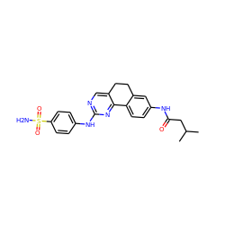 CC(C)CC(=O)Nc1ccc2c(c1)CCc1cnc(Nc3ccc(S(N)(=O)=O)cc3)nc1-2 ZINC000049035572