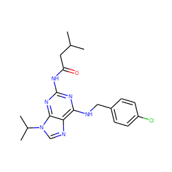 CC(C)CC(=O)Nc1nc(NCc2ccc(Cl)cc2)c2ncn(C(C)C)c2n1 ZINC000028641996