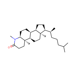 CC(C)CCC[C@H](C)[C@@H]1CC[C@@H]2[C@@H]3CC[C@@H]4N(C)C(=O)CC[C@]4(C)[C@@H]3CC[C@]12C ZINC000027213335