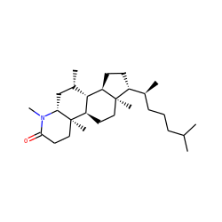 CC(C)CCC[C@H](C)[C@H]1CC[C@@H]2[C@H]3[C@@H](C)C[C@H]4N(C)C(=O)CC[C@]4(C)[C@@H]3CC[C@]12C ZINC000026949845