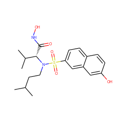 CC(C)CCN([C@@H](C(=O)NO)C(C)C)S(=O)(=O)c1ccc2ccc(O)cc2c1 ZINC000073196617