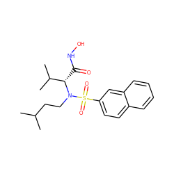 CC(C)CCN([C@@H](C(=O)NO)C(C)C)S(=O)(=O)c1ccc2ccccc2c1 ZINC000073159108