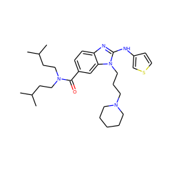 CC(C)CCN(CCC(C)C)C(=O)c1ccc2nc(Nc3ccsc3)n(CCCN3CCCCC3)c2c1 ZINC000028823425