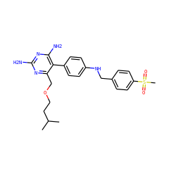 CC(C)CCOCc1nc(N)nc(N)c1-c1ccc(NCc2ccc(S(C)(=O)=O)cc2)cc1 ZINC000036349150