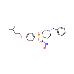 CC(C)CCOc1ccc(S(=O)(=O)C2(C(=O)NO)CCN(Cc3ccccc3)CC2)cc1 ZINC000013521097