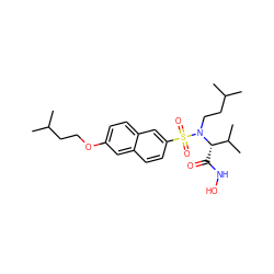 CC(C)CCOc1ccc2cc(S(=O)(=O)N(CCC(C)C)[C@@H](C(=O)NO)C(C)C)ccc2c1 ZINC000073195732