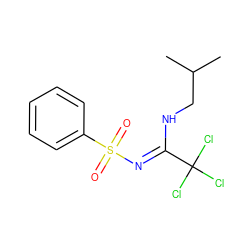 CC(C)CN/C(=N\S(=O)(=O)c1ccccc1)C(Cl)(Cl)Cl ZINC000015986388