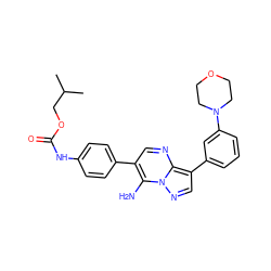 CC(C)COC(=O)Nc1ccc(-c2cnc3c(-c4cccc(N5CCOCC5)c4)cnn3c2N)cc1 ZINC000049035830