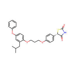 CC(C)Cc1cc(Oc2ccccc2)ccc1OCCCOc1ccc([C@@H]2SC(=O)NC2=O)cc1 ZINC000013489930