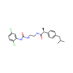 CC(C)Cc1ccc([C@H](C)C(=O)NCCNC(=O)Nc2cc(Cl)ccc2Cl)cc1 ZINC000653761004