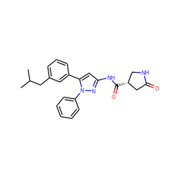 CC(C)Cc1cccc(-c2cc(NC(=O)[C@@H]3CNC(=O)C3)nn2-c2ccccc2)c1 ZINC000169707014