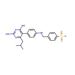 CC(C)Cc1nc(N)nc(N)c1-c1ccc(NCc2ccc(S(C)(=O)=O)cc2)cc1 ZINC000036349103