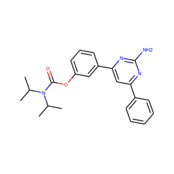 CC(C)N(C(=O)Oc1cccc(-c2cc(-c3ccccc3)nc(N)n2)c1)C(C)C ZINC000653773215