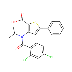 CC(C)N(C(=O)c1ccc(Cl)cc1Cl)c1cc(-c2ccccc2)sc1C(=O)O ZINC000012503546