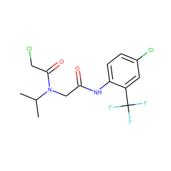 CC(C)N(CC(=O)Nc1ccc(Cl)cc1C(F)(F)F)C(=O)CCl ZINC000002641110