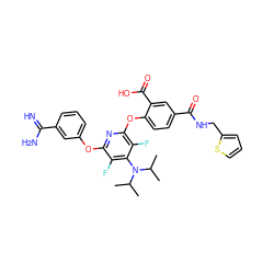 CC(C)N(c1c(F)c(Oc2cccc(C(=N)N)c2)nc(Oc2ccc(C(=O)NCc3cccs3)cc2C(=O)O)c1F)C(C)C ZINC000028569852