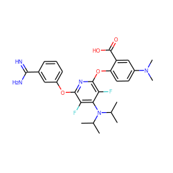 CC(C)N(c1c(F)c(Oc2cccc(C(=N)N)c2)nc(Oc2ccc(N(C)C)cc2C(=O)O)c1F)C(C)C ZINC000028570343