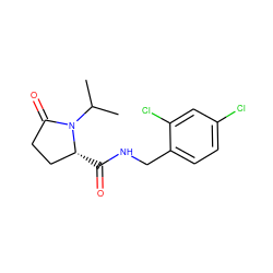 CC(C)N1C(=O)CC[C@H]1C(=O)NCc1ccc(Cl)cc1Cl ZINC000095565493