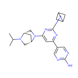 CC(C)N1C[C@@H]2C[C@H]1CN2c1cc(-c2cnc(N)nc2)nc(N2CC3CC2C3)n1 ZINC000221359903