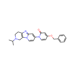 CC(C)N1CCc2nc3cc(-n4ccc(OCc5ccccc5)cc4=O)ccn3c2C1 ZINC000142046314