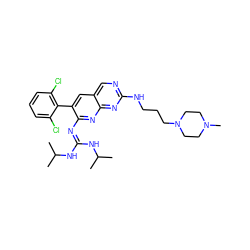 CC(C)NC(=Nc1nc2nc(NCCCN3CCN(C)CC3)ncc2cc1-c1c(Cl)cccc1Cl)NC(C)C ZINC000023357797