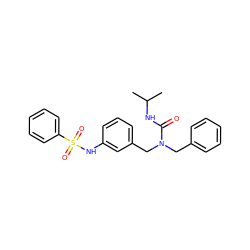 CC(C)NC(=O)N(Cc1ccccc1)Cc1cccc(NS(=O)(=O)c2ccccc2)c1 ZINC000066076545