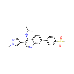 CC(C)Nc1c(-c2cnn(C)c2)cnc2cc(-c3ccc(S(C)(=O)=O)cc3)ccc12 ZINC000095604232