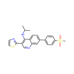 CC(C)Nc1c(-c2nccs2)cnc2cc(-c3ccc(S(C)(=O)=O)cc3)ccc12 ZINC000095605057