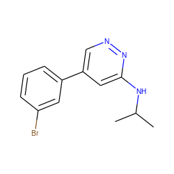 CC(C)Nc1cc(-c2cccc(Br)c2)cnn1 ZINC000013673535