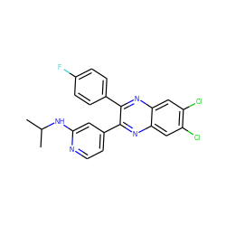 CC(C)Nc1cc(-c2nc3cc(Cl)c(Cl)cc3nc2-c2ccc(F)cc2)ccn1 ZINC000045315870