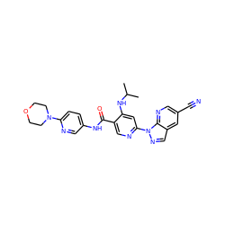 CC(C)Nc1cc(-n2ncc3cc(C#N)cnc32)ncc1C(=O)Nc1ccc(N2CCOCC2)nc1 ZINC001772599233