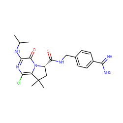 CC(C)Nc1nc(Cl)c2n(c1=O)[C@H](C(=O)NCc1ccc(C(=N)N)cc1)CC2(C)C ZINC000038799799