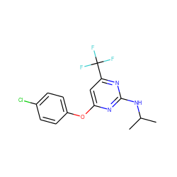 CC(C)Nc1nc(Oc2ccc(Cl)cc2)cc(C(F)(F)F)n1 ZINC000001396751