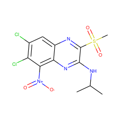 CC(C)Nc1nc2c([N+](=O)[O-])c(Cl)c(Cl)cc2nc1S(C)(=O)=O ZINC000028951116