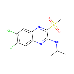 CC(C)Nc1nc2cc(Cl)c(Cl)cc2nc1S(C)(=O)=O ZINC000028951009