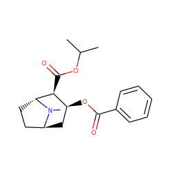 CC(C)OC(=O)[C@H]1[C@@H](OC(=O)c2ccccc2)C[C@H]2CC[C@H]1N2C ZINC000100647751