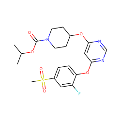 CC(C)OC(=O)N1CCC(Oc2cc(Oc3ccc(S(C)(=O)=O)cc3F)ncn2)CC1 ZINC000071340554