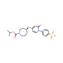 CC(C)OC(=O)N1CCC[C@H](Oc2ccn(-c3ccc(S(C)(=O)=O)cc3)c(=O)c2)CC1 ZINC000059068238