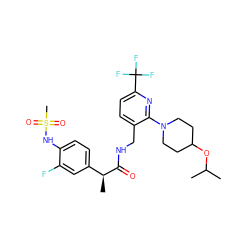 CC(C)OC1CCN(c2nc(C(F)(F)F)ccc2CNC(=O)[C@@H](C)c2ccc(NS(C)(=O)=O)c(F)c2)CC1 ZINC000095576967