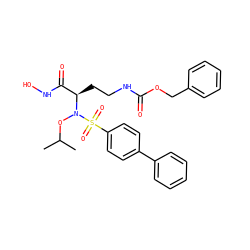 CC(C)ON([C@H](CCNC(=O)OCc1ccccc1)C(=O)NO)S(=O)(=O)c1ccc(-c2ccccc2)cc1 ZINC000028127921