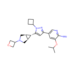 CC(C)Oc1cc(-c2cc([C@@H]3[C@H]4CN(C5COC5)C[C@H]43)n(C3CCC3)n2)cnc1N ZINC000148068568