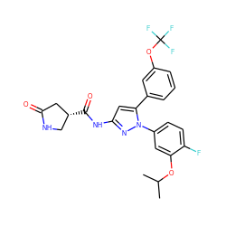 CC(C)Oc1cc(-n2nc(NC(=O)[C@@H]3CNC(=O)C3)cc2-c2cccc(OC(F)(F)F)c2)ccc1F ZINC000169707339