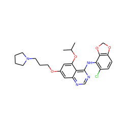 CC(C)Oc1cc(OCCCN2CCCC2)cc2ncnc(Nc3c(Cl)ccc4c3OCO4)c12 ZINC000014949460