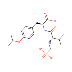 CC(C)Oc1ccc(C[C@H](NC(=O)[C@@H](NCP(=O)(O)O)C(C)C)C(=O)O)cc1 ZINC000026654521