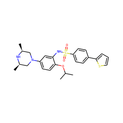 CC(C)Oc1ccc(N2C[C@H](C)N[C@H](C)C2)cc1NS(=O)(=O)c1ccc(-c2cccs2)cc1 ZINC000095598533