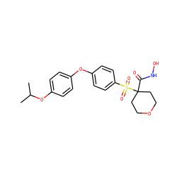 CC(C)Oc1ccc(Oc2ccc(S(=O)(=O)C3(C(=O)NO)CCOCC3)cc2)cc1 ZINC000072110103