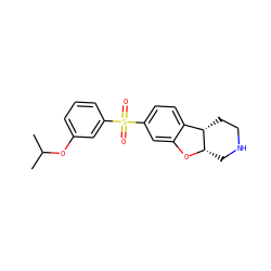 CC(C)Oc1cccc(S(=O)(=O)c2ccc3c(c2)O[C@H]2CNCC[C@@H]32)c1 ZINC000073198221