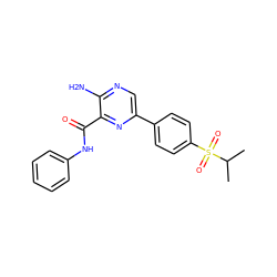 CC(C)S(=O)(=O)c1ccc(-c2cnc(N)c(C(=O)Nc3ccccc3)n2)cc1 ZINC000071319216